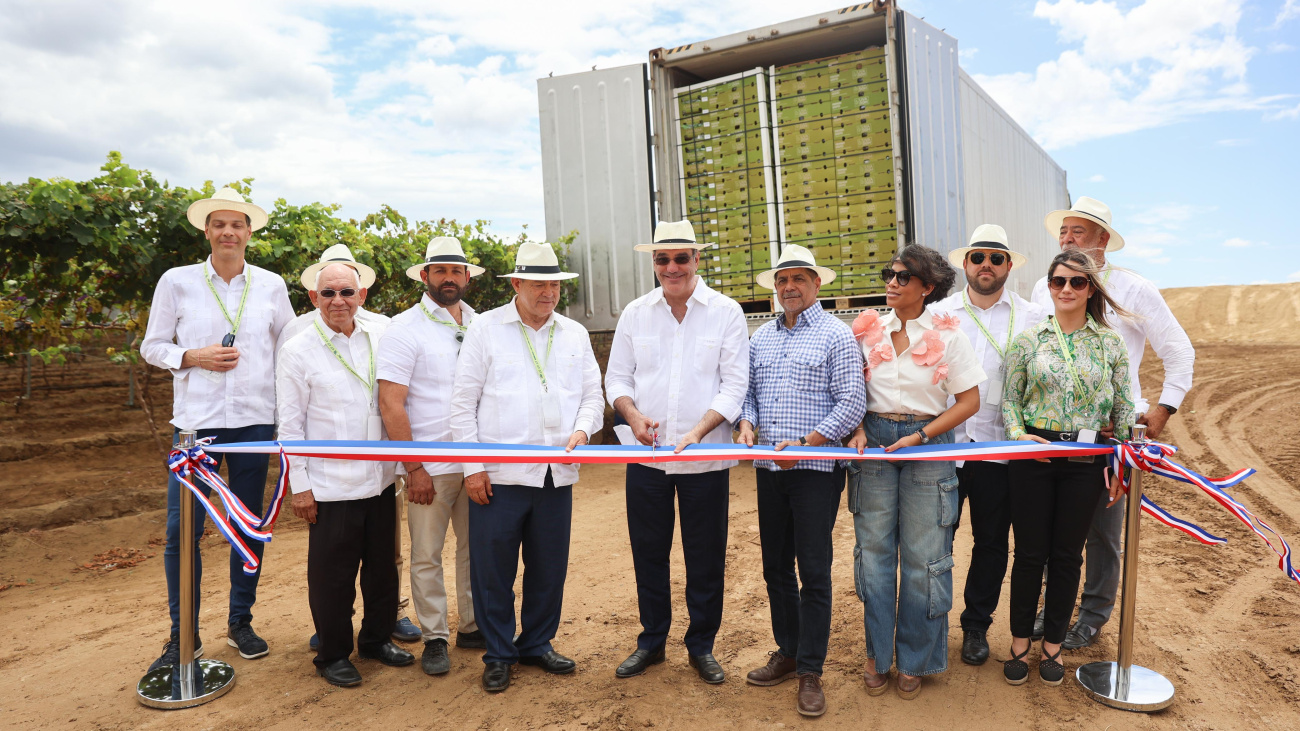 República Dominicana Logra un Hito en la Exportación de Uvas de Mesa