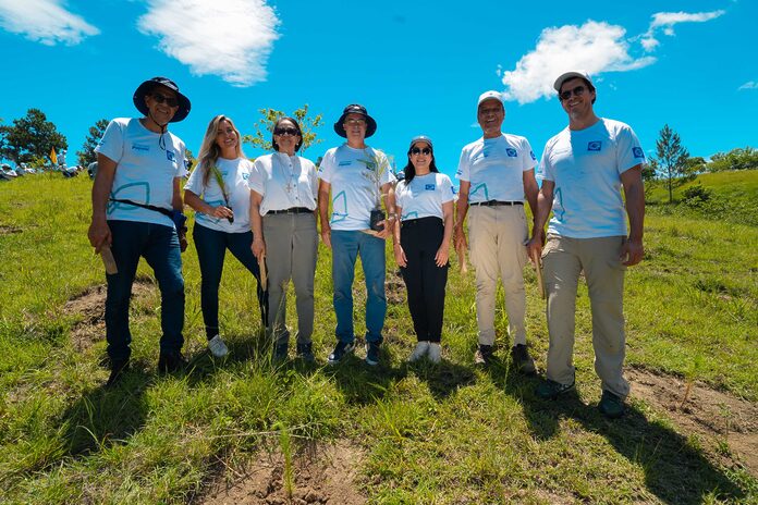 Jornada de reforestación del Grupo Popular implica la siembra de 5,000 árboles en Plan Sierra