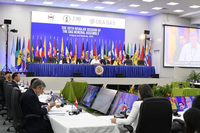 X Cumbre de las Américas: Seguridad como Pilar del Desarrollo Regional