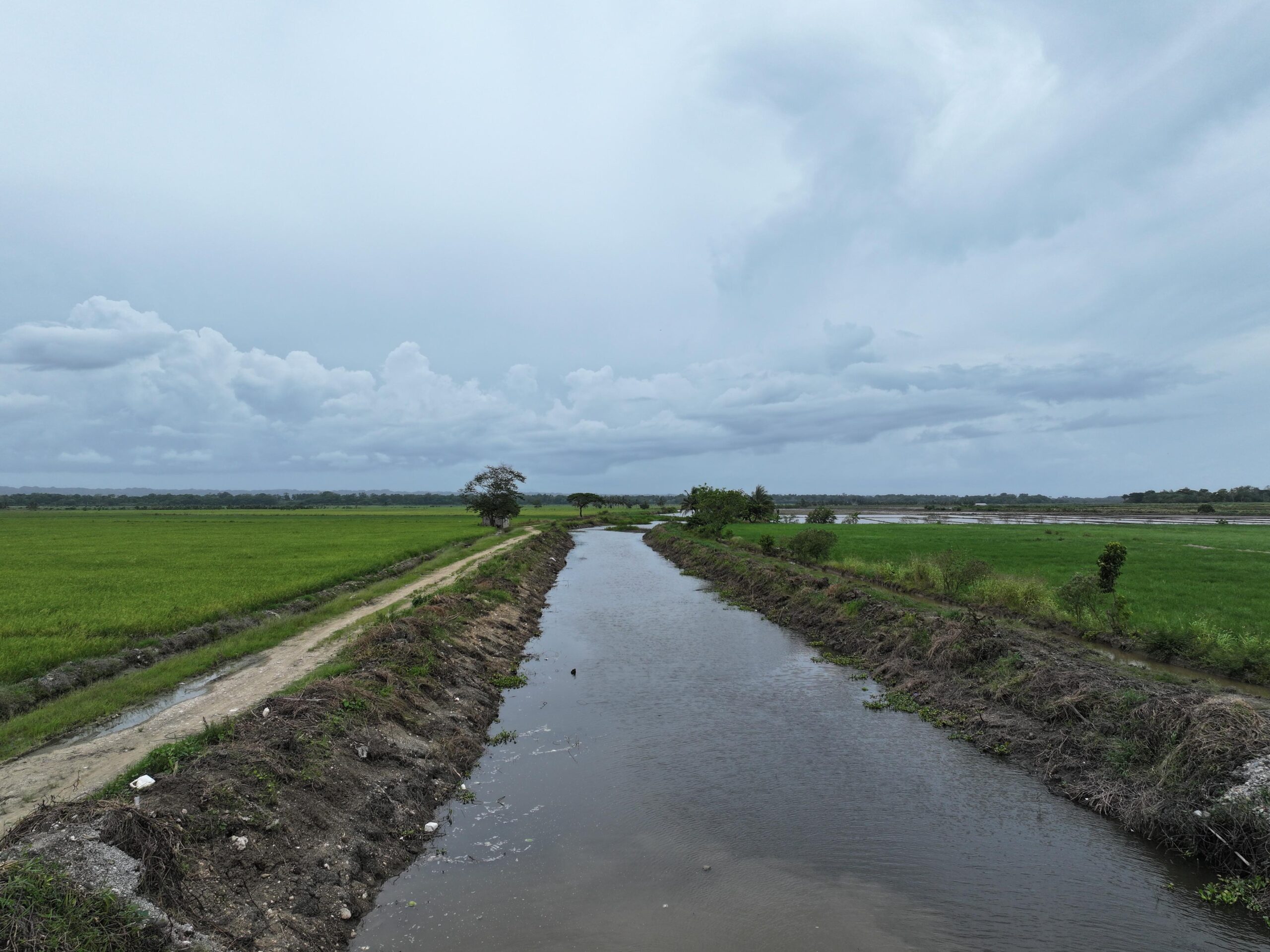 Avances en la limpieza de canales y drenajes en Bajo Yuna impulsan la seguridad agrícola