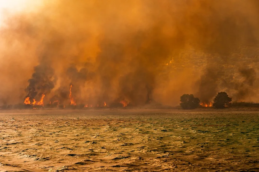 Incendio forestal en las afueras de Atenas obliga a la evacuación de 150 personas