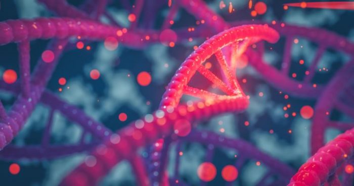 Día Mundial del Síndrome DYRK 1A: Concienciación sobre una condición ultra rara