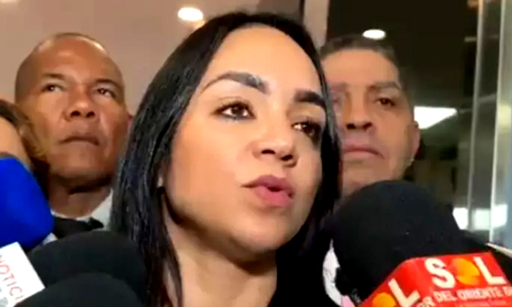 Faride Raful presentará reforma policial al Congreso en noviembre