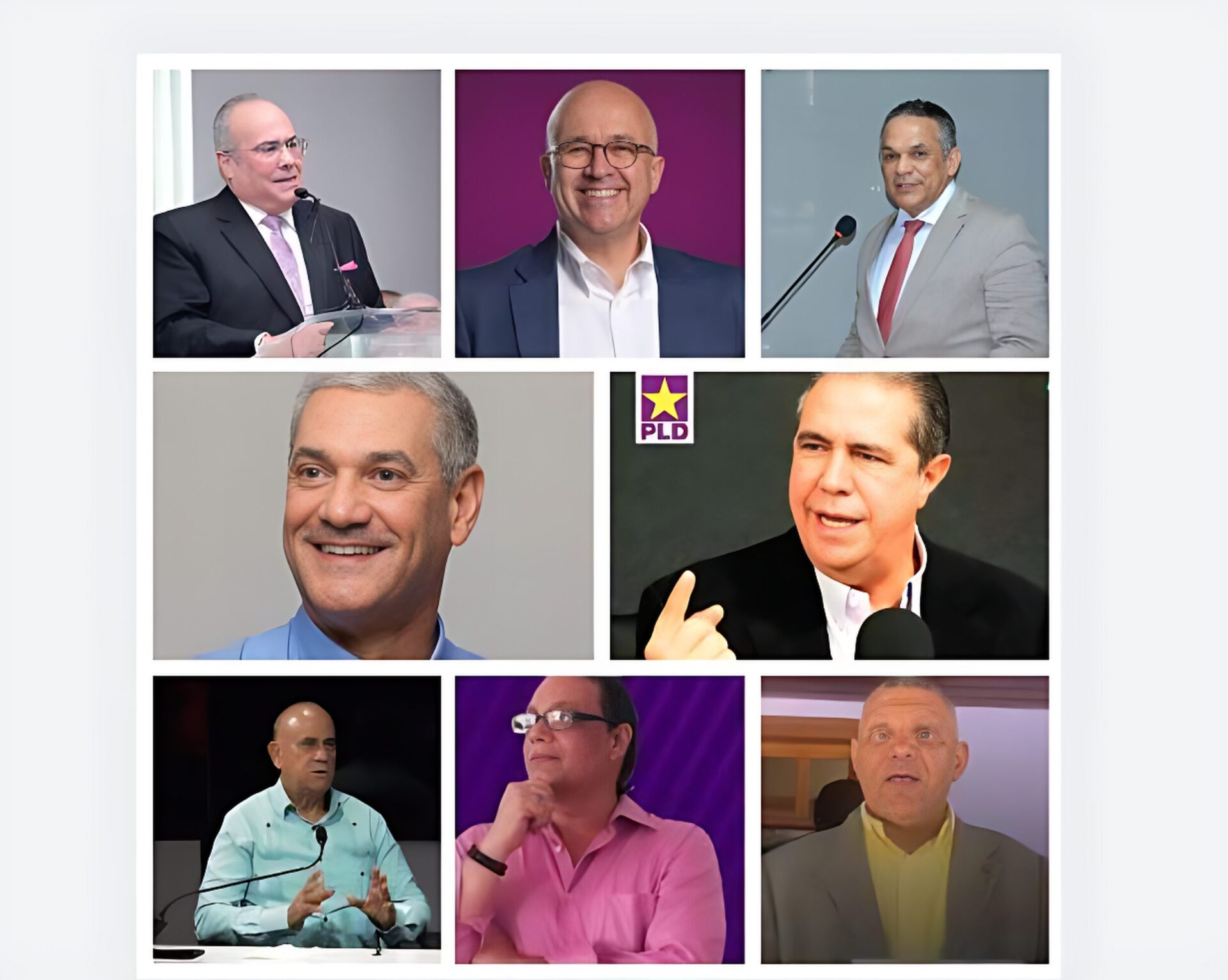 PLD aprueba lista preliminar de aspirantes a la candidatura presidencial 2028