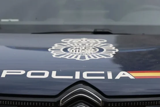 Dominican Don't Play