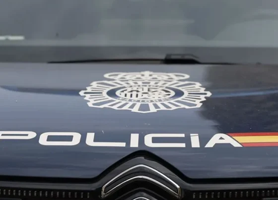 Dominican Don't Play