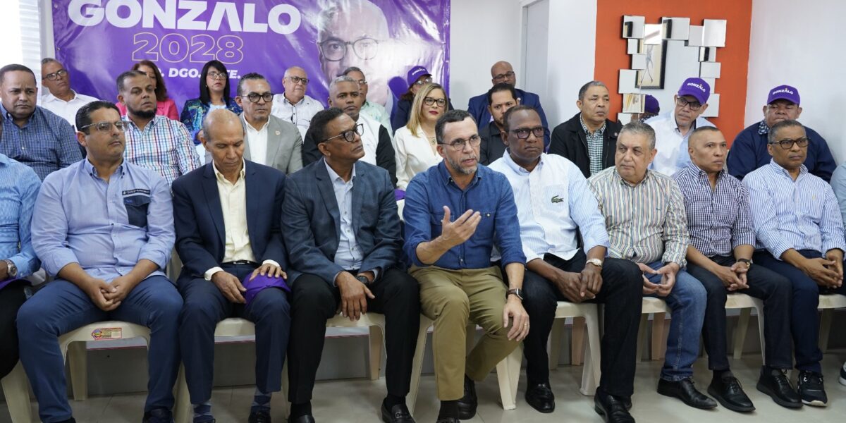 Gonzalo Castillo candidatura