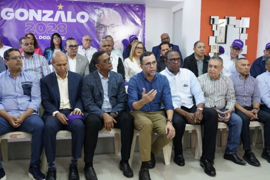 Gonzalo Castillo candidatura