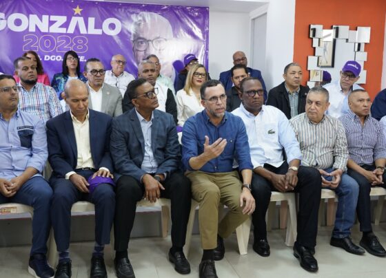 Gonzalo Castillo candidatura
