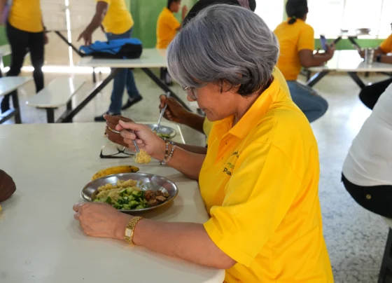 alimentación escolar