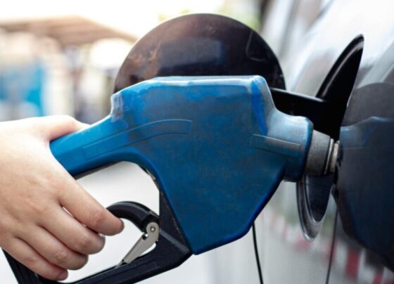 gasolina y gasoil