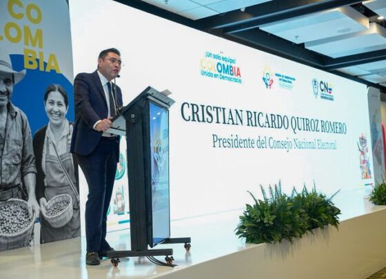 observación electoral