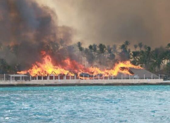 Viva Wyndham Dominicus Beach