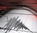 sismo de magnitud