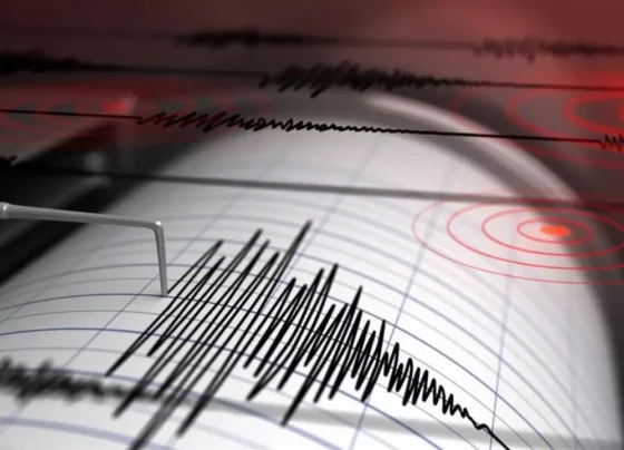 sismo de magnitud