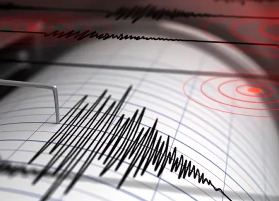 temblor magnitud
