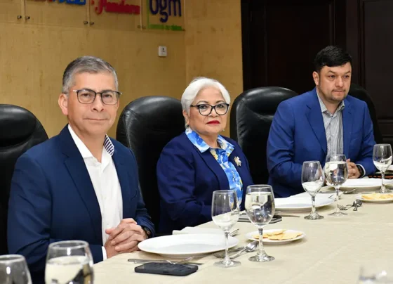 generales sin funciones