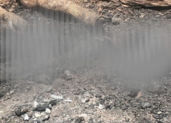 restos humanos calcinados