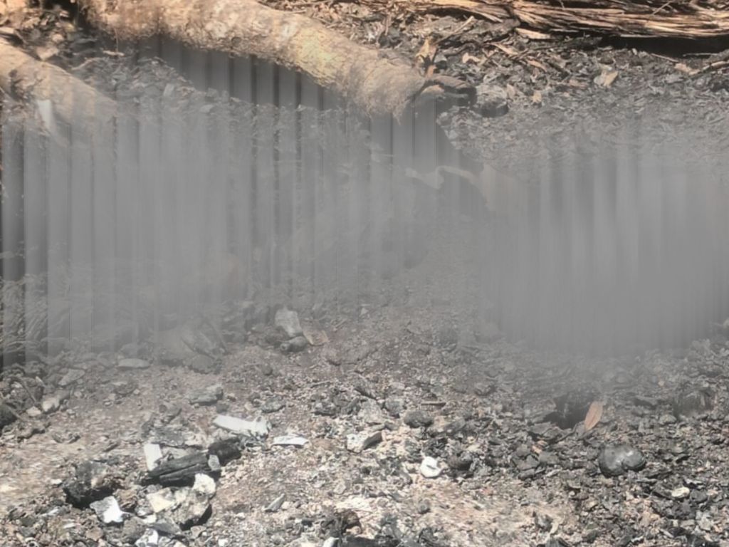 Hallan restos humanos calcinados en Dajabón