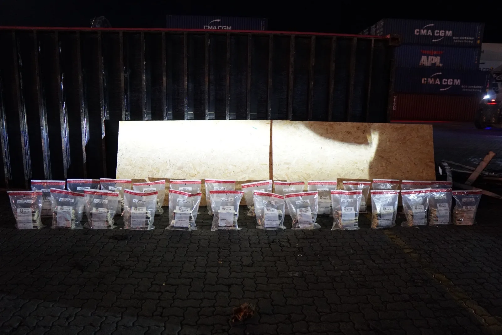 DNCD incauta 303 paquetes de cocaína en Puerto Caucedo