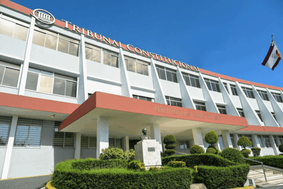 Tribunal Constitucional