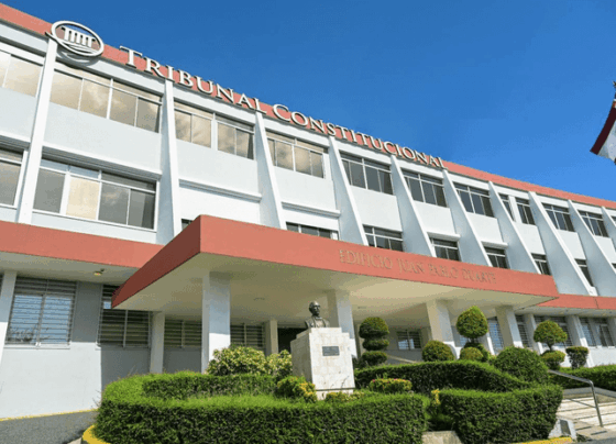 Tribunal Constitucional