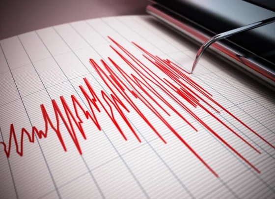 terremoto magnitud