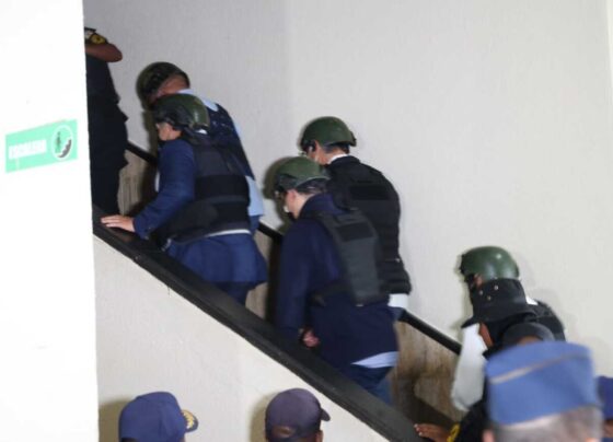 caso SeNaSa