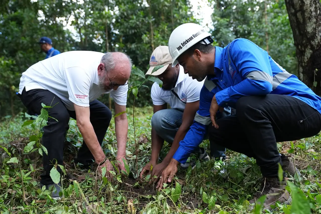 Ministerio de Energía y Minas reforesta cuencas en Cotuí