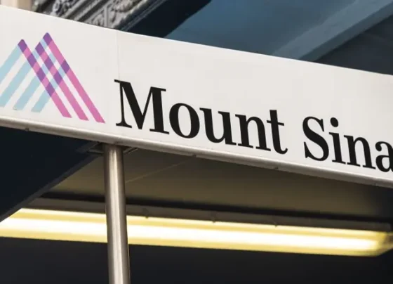 Mount Sinai