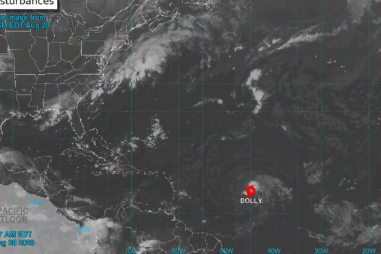 tormenta Dolly