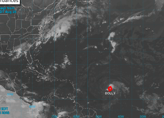 tormenta Dolly