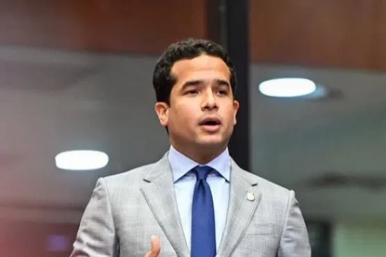 proyecto político