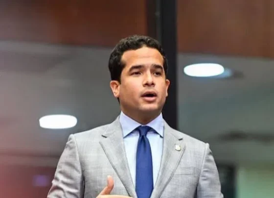 proyecto político