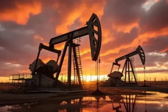 subsidio combustibles
