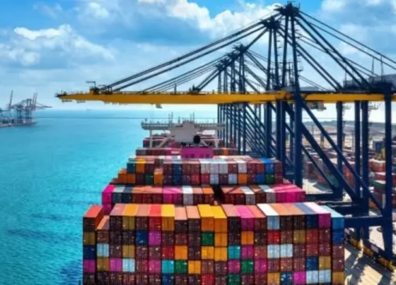 exportaciones dominicanas