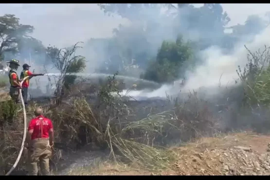 fuegos forestales