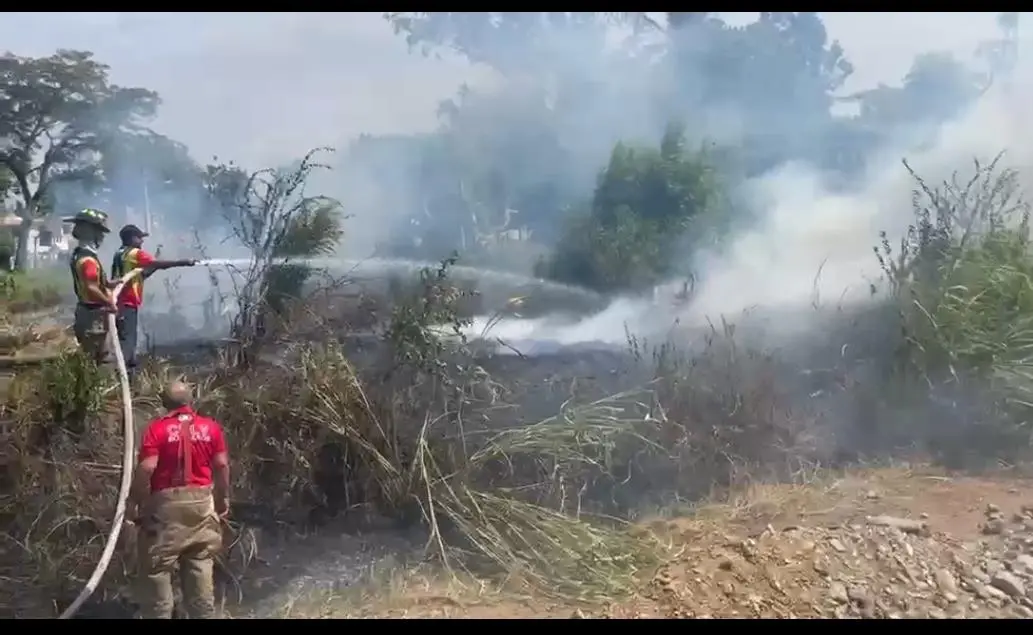 La Vega registra 170 fuegos forestales en tres meses
