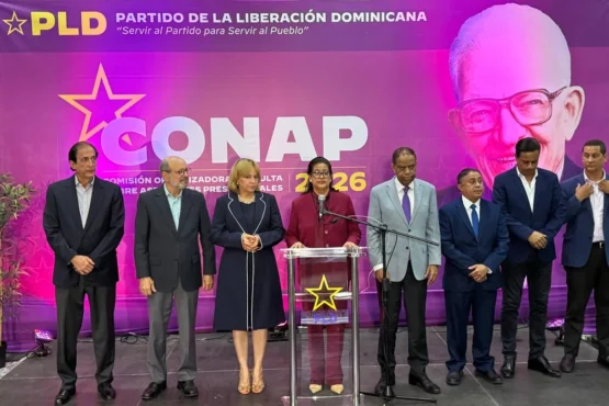 consulta presidencial
