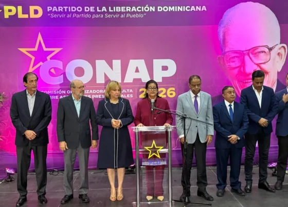 consulta presidencial