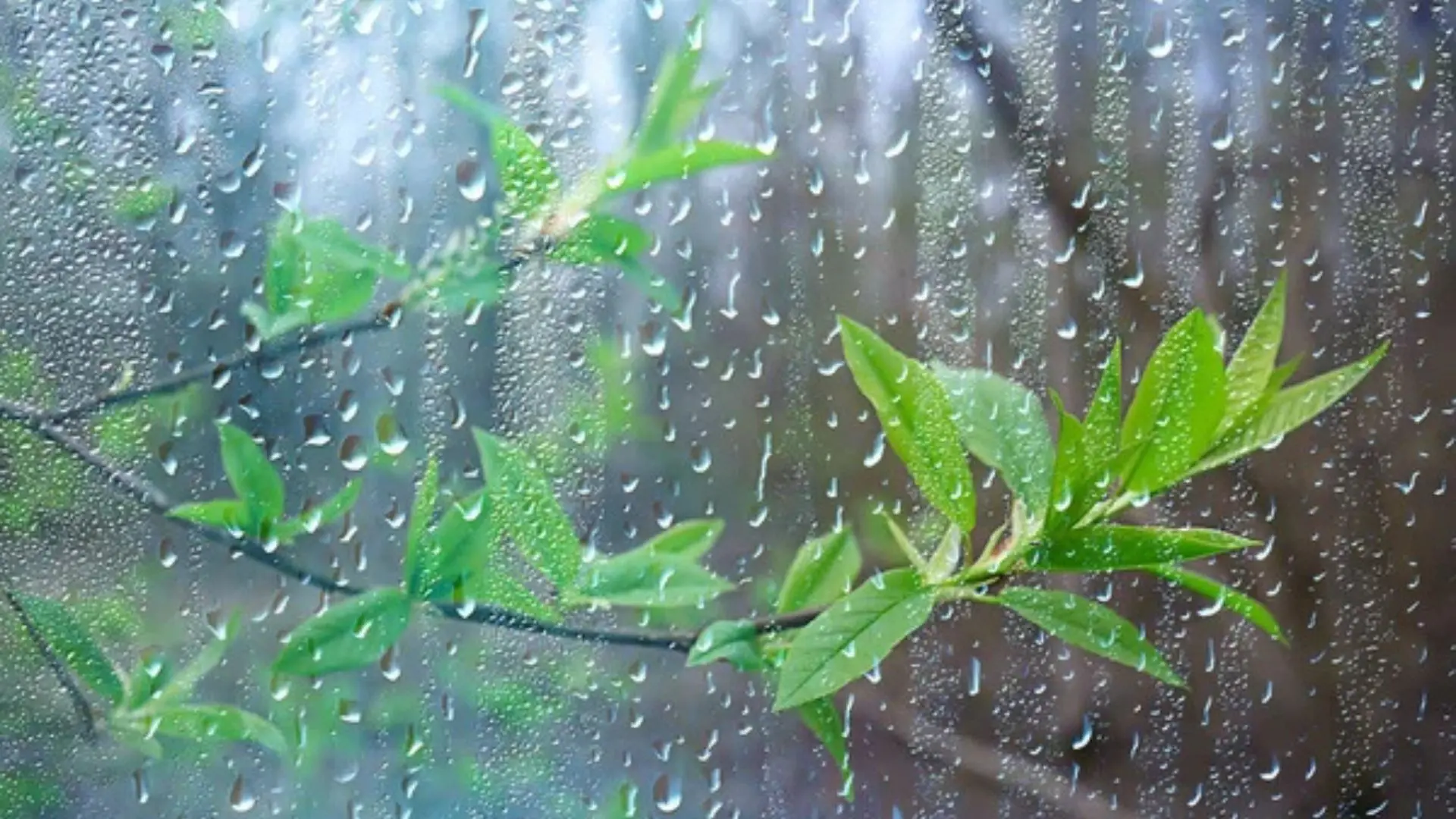 Calor y polvo del Sahara dominarán este domingo; vaguada causará aguaceros