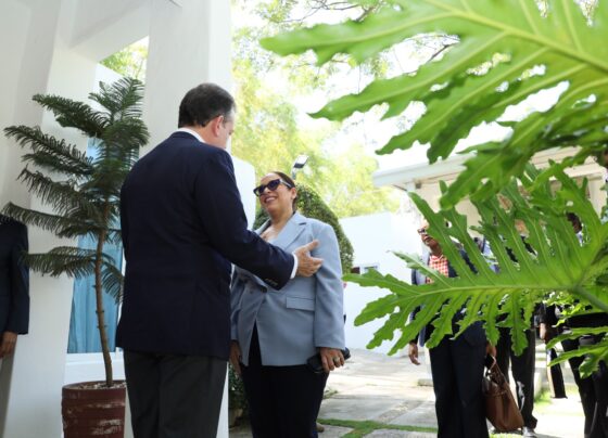colaboración bilateral