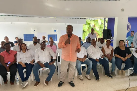 bases del PRM