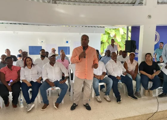 bases del PRM