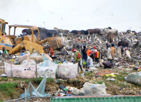 toneladas de basura