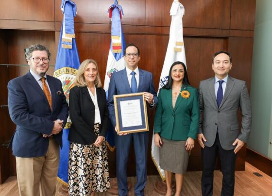 desempeño institucional