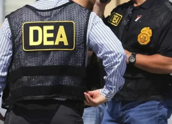 agentes DNCD