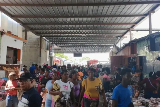 exportaciones dominicanas