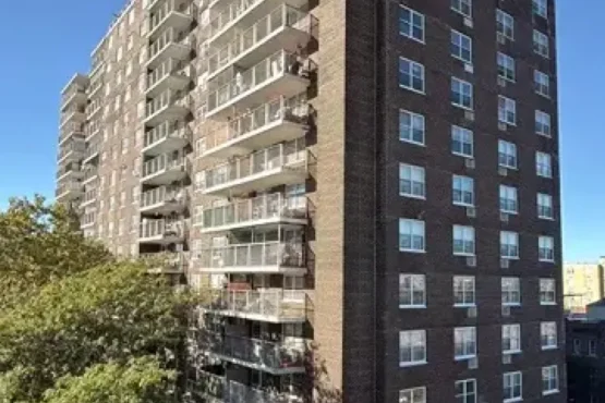 El Bronx