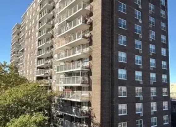 El Bronx